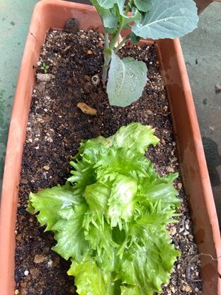 IMG_2026-03-16-10-00-42-798