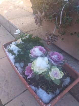 IMG_2026-01-03-09-04-07-203