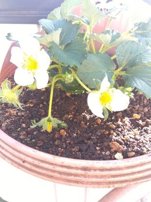 IMG_2026-02-19-13-19-38-206