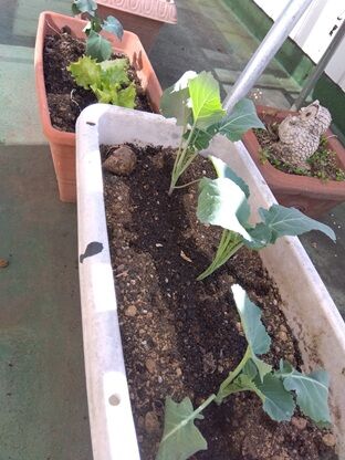 IMG_2026-02-19-13-19-57-709