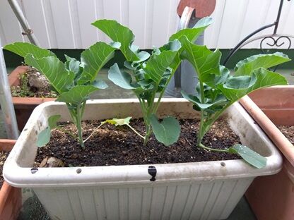 IMG_2026-03-16-10-00-48-322