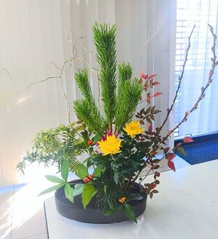 IMG_2026-01-03-10-39-31-021~2