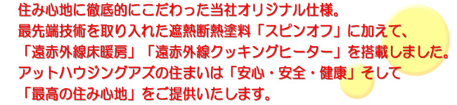 商品説明