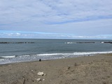 IMG_4674