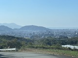 IMG_4585