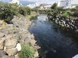 IMG_0156