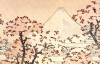 Mount_Fuji_seen_throught_cherry_blossom