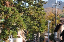 大山町で工務店をお探しの方へ