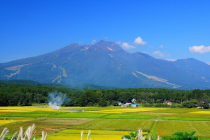 信濃町で工務店を探している方へ