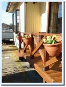 エム・ハウス/株式会社小野瀬工務店