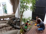 株式会社スタジオCoco-Li